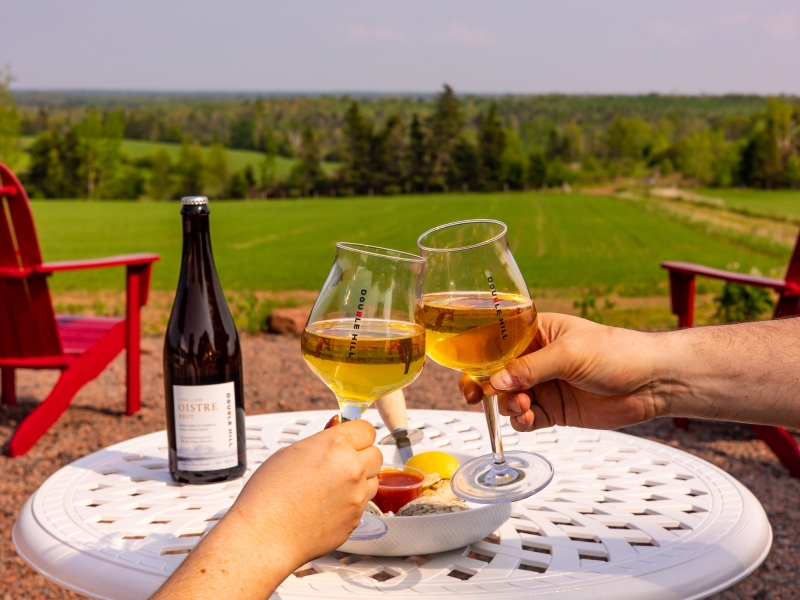 Image of two hands holding cider making a toast over looking the hills of Caledonia